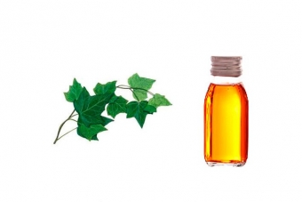 Aromabella ulje bršljana za maderoterapiju 500 mL - Asortiman za kozmetičke salone i wellness centreAromabella ulja za masažu i njegu tijelaValjci (oklagije) za maderoterapiju cijena, prodaja, Hrvatska Aromabella ulje bršljana za maderoterapiju 500 mL - Asortiman za kozmetičke salone i wellness centreAromabella ulja za masažu i njegu tijelaValjci (oklagije) za maderoterapiju cijena, prodaja, Hrvatska